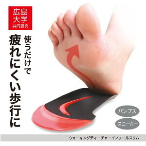 h[ PROIDEA EH[LO eB[`[C\[X ɂsT|[gM