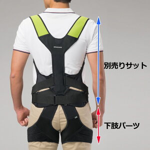 �_�C���H�� bonbone DARWING SATT (�_�[�E�B���T�b�g�j �T�|�[�g�E�F�A �����p�[�c