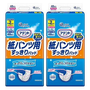 y100~OFFN[|Ώہz剤 Aeg pcppbh 2z v96 (48×2)