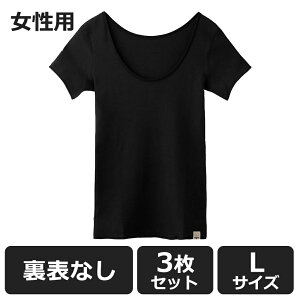 y100~OFFN[|ΏہzHONESTIES y3Zbgz \Ȃ Ci[ v~A p  LTCY