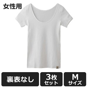 y100~OFFN[|ΏہzHONESTIES y3Zbgz \Ȃ Ci[ v~A p  MTCY