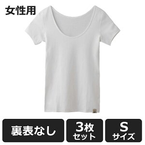 y100~OFFN[|ΏہzHONESTIES y3Zbgz \Ȃ Ci[ v~A p  STCY