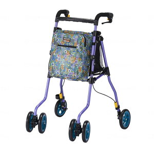 EBY wV[W v}hi D@CIbg Vo[J[