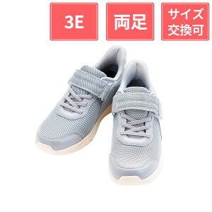 y300~OFFN[|ΏہzY ݃V[Y CtXebv 3E  O[ 4L(26.0`26.5cm)