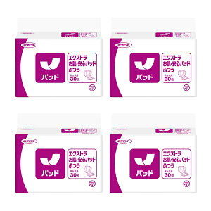 qlsA lsAe_[ GNXgESpbhӂ v120 (30×4)