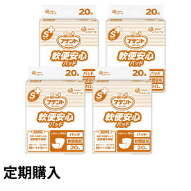 【定期購入】大王製紙 アテント Sケア 軟便安心パッド 20枚×4袋（合計80枚）