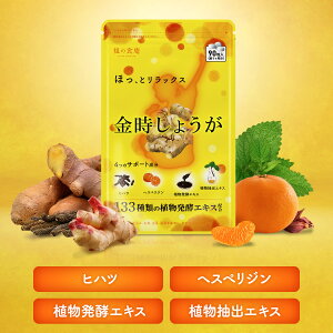傤 Tv 1  Tvg _CGbg  [ N[[ RČn 傤  I VEK WW[ qnc wXyW 133ނ̐Ayfz