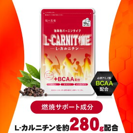 【在庫過多のため★見切り品セール】燃焼系サポートサプリ L-カルニチン＋BCAA配合！ 30日分 メール便 送料無料 ダイエット サプリメント L-アルギニン L-リジン L-シトルリン L-ヒスチジン L-グルタミン