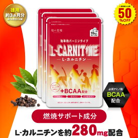 ＼【徳用】90日分まとめ買いがお得！／【在庫過多のため★見切り品セール】 燃焼系サポートサプリ L-カルニチン＋BCAA配合！ メール便 送料無料 ダイエット サプリメント L-アルギニン L-リジン L-シトルリン L-ヒスチジン L-グルタミン