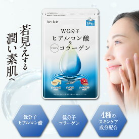 吸収率が違う！飲むスキンケアサプリ W低分子ヒアルロン酸＆コラーゲン 鮫軟骨エキス ツバメの巣エキス ツバキ種子エキス マンゴスチン抽出エキス 美容 送料無料 サプリメント