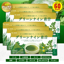 ＼【徳用】180日分まとめ買い60％OFF！／30日分2,419円×6箱14,514円⇒送料無料5,805円！9つの野菜の恵みを贅沢に配合！超本格青汁「グリーンナイン青汁」（約1ヵ月分/3g×30包入り×6箱） サプリ