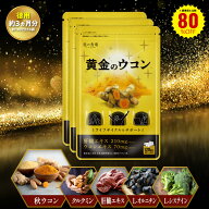 【徳用】90日分まとめ買い80％OFFセールで8,682円⇒送料無料1,736円！ウコン サプリ 送料無料 お酒 サプ…