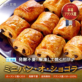 終了前に★半額クーポンで6,980円⇒送料無料3,490円！本格ビターチョコとピュアバターのハーモニー♪フランス産 冷凍 ミニ パン・オ・ショコラ （25g×約40個）チョコ入りクロワッサン チョコデニッシュ Bake up生地【P半】