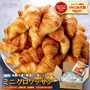 1/16/1:59まで★半額クーポンで5,980円⇒送料無料2,990円！サクサク＆もっちり♪発酵バターが香るフランス産 冷凍 ミ…