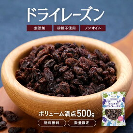 無添加 砂糖不使用 ドライレーズン ノンオイル 500g ドライフルーツ カリフォルニアレーズン 大容量 お徳用 業務用【受賞記念セール】