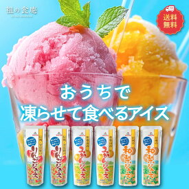 見切り品★半額クーポンで1,000円⇒送料無料500円ポッキリ！ 日本名産ご当地★おうちで凍らせて食べるアイス6本セット メール便 各種フレーバーご用意！【賞味期限：2026/03/12】