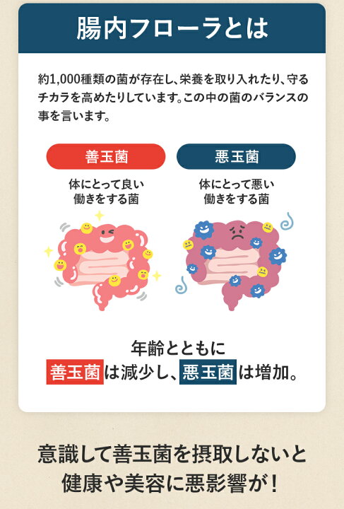 食の専門家が考案した菌活&美容ドリンク 【きれい潤礼】おなかの地から100,000mg(約30杯分) 砂糖不使用 乳酸菌17種類 ビフィズス菌 6種 オリゴ糖 食物繊維 60種類の植物酵素 コラーゲンペプチド 11種類のビタミン 祖の食庵 22種類の菌配合 ピアス CHONYチョーニイセット Sainnatul サプリメント ピアス 乳酸菌 ラクリス菌 植物性乳酸菌 ビフィズス菌 納豆菌 酪酸菌 ガセリ菌 フェムテック フェムケア フローラ プロバイオティクス プレバイオティクス
