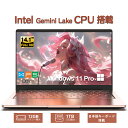 ノートパソコン 新品 Office付き 初心者向け初期設定済 windows11 Pro 日本語キーボード テレワーク応援 intel Gemini Lake メモリー:12GB最大 高速SSD:1TB最大 フルHD 14型液晶 Webカメラ ノートPC パソコン ノート 新品パソコン 新品PC オフィス WPS 新品 テレワーク応援