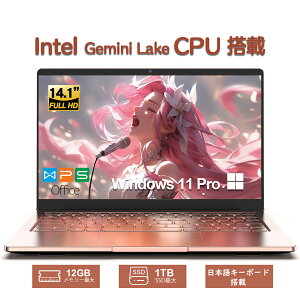 m[gp\R Vi Officet SҌݒ windows11 Pro {L[{[h e[N intel Gemini Lake [:12GBő SSD:1TBő tHD 14^t WebJ m[gPC p\R 