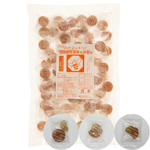 _X[p[SALE 10OFF^y󂠂z\[L ɂ̂ǃXbLIv|XLfB 400g I ̂ǈ v|XܗL jbL nbJ Vi g[ Mtg Ε