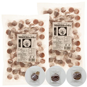 _X[p[SALE 10OFFIwōő15off^y󂠂 2܃Zbgz\[L v|XLfB 400g ̂ǈ v|XܗL jbL nbJ Vi g[ Mtg Ε