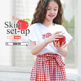 セール50%off 韓国子供服 半袖 チェック スカート シャツ セットアップ 女の子 女児 キッズ ジュニア コドモ こども 95cm 100cm 120cm 130cm 140cm 150cm 160cm