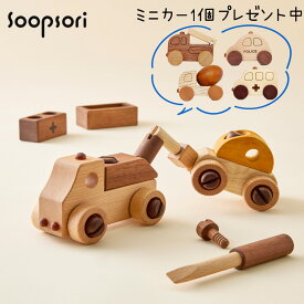 誕生日プレゼント 男の子 女の子 木のおもちゃ 車おもちゃ 知育玩具 組み立ておもちゃ 大工さん おもちゃ 工具で 組立あそびセット 車2個セット ボルトと ドライバーで車を作ろう 誕生日 日曜大工 組み立て ねじ 分解