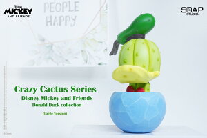 SOAP STUDIO \[vX^WI fBYj[ hih_bN ȃT{e tBMA ObY RNV zr[