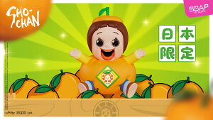 SOAP STUDIO \[vX^WI [͔R ݂ {ver. tBMA ObY RNV zr[