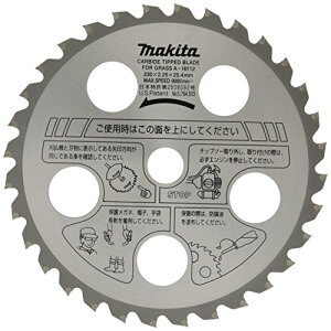 }L^ t@C`bv\[(@p) Oa230mm `bvтɂ^Cv A-16112 