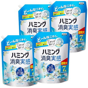 yP[X̔zn~OL _ ߂ݐ􂢂AAGLIn~ONoD1R zCg\[v̍ ߂p 