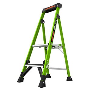 ���J��H��(Hasegawa) LittleGiant �A���~��킭�t���r�� �}�C�e�B�[���C�g2.0 2�i 2�� FRP LG-1540 ��������