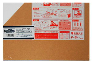  AN 200×300×5 AC68-523 V 