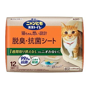 jƂgC ELERۃV[g e 12 [LpVXegCV[g] VXegCp 