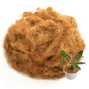 AXg RRVt@Co[ 500g RRt@Co[ }`O yB RRV@ Α 624-04 CguEn 