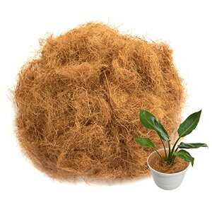 AXg RRVt@Co[ 300g RRt@Co[ }`O yB RRV@ Α 624-03 