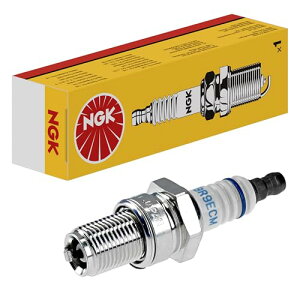 {ꓩ(NGK) Xp[NvO y3035ž` BR8ECM 