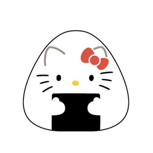 PCJpj[ TILN^[Y iɂV[Yju n[LeB SAON-HSO-KT 