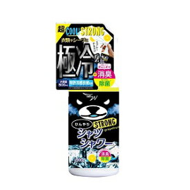 ひんやりシャツシャワ―　ストロング　グレープフルーツ　500ml冷涼感 クール 冷感 消臭スプレー
