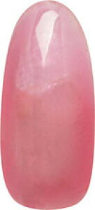 �y�p���W�F���zpara gel �J���[�W�F�� AC1 (4g) �yArt Line AC Clear Color�z �i�`�������v���[�g�s���N