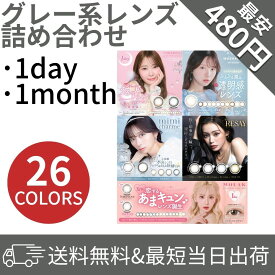 グレー カラコン ワンデー マンスリー 詰め合わせ アウトレット 度あり 度なし 低含水 高含水 -0.5 1day 14.2 8.6 高発色 お試し 韓国 コスプレ 処分 セール 小さめ 水光 盛れる 度付き 渡辺直美 指原莉乃 送料無料 プラス度数 10枚