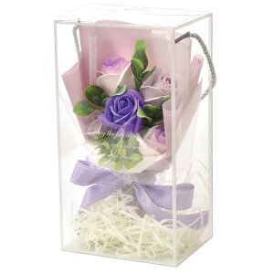 \[vt[ ԑ u[P v[g Mtg o t[\[v AWg  a \ \j җ j ސE    lC ͂Ȃ   yb