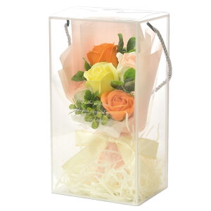 yBF P10{z \[vt[ ԑ u[P v[g Mtg o t[\[v AWg  a \ j җ j ސE   lC ͂Ȃ  