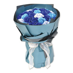 \[vt[ ԑ u[P v[g Mtg o t[\[v AWg  NAP[Xt {t a ̓ ސEj j    lC ͂Ȃ