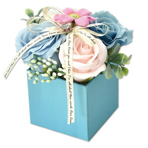 yBF P10{z\[vt[ {bNX AWg v[g Mtg o t[\[v  a \ j ސEj    lC ͂Ȃ   yb