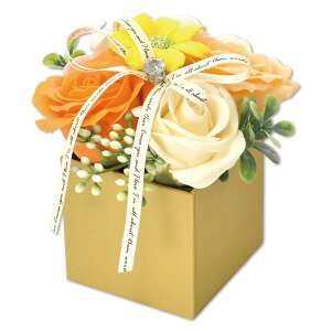 �\�[�v�t�����[ �{�b�N�X �A�����W�����g �v���[���g �M�t�g �o�� �t�����[�\�[�v ���� �a���� ���\�� �����j�� �ސE�j�� ���� �������� ���� �l�C �͂�Ȃ� ������ ������� �y�b�g �� ����