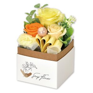 \[vt[ {bNX AW Mtg ͂Ȃ   t[\[v AWg  v[g j a ̓ ʉ } w  LO 蕨   C