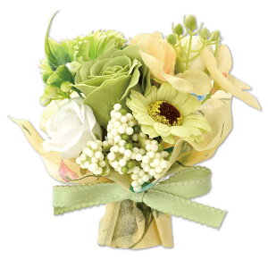 \[vt[ ԑ u[P Mtg ͂Ȃ   t[\[v V{t[ v[g 蕨 a ̓  w ސEj ʉ } LO   ~ju[