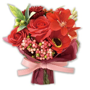 \[vt[ ԑ u[P Mtg ͂Ȃ   t[\[v V{t[ v[g 蕨 a ̓  w ސEj ʉ } LO   ~ju[