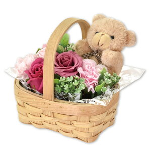 \[vt[ N} oXPbg Mtg v[g KN ͂Ȃ   t[\[v ԃMtg t[Mtg a  ސEj j JXj p Ce